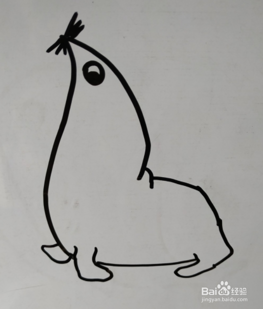 如何画海狮的儿童画？