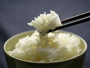 食物保鲜什么样的保鲜盒最好用