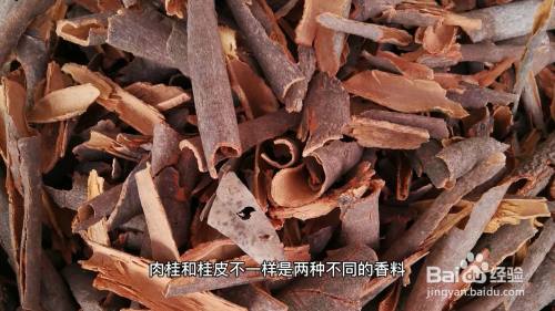 肉桂和桂皮一样吗