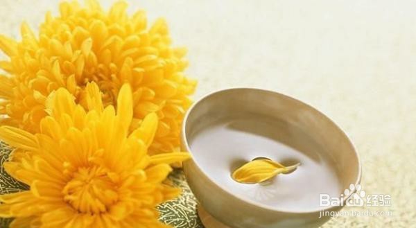 重阳节活动习俗攻略