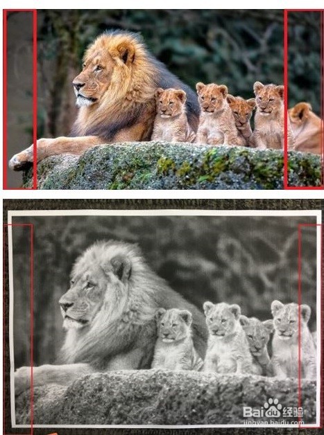 HP Smart Tank 518&519&618 打印照片不全