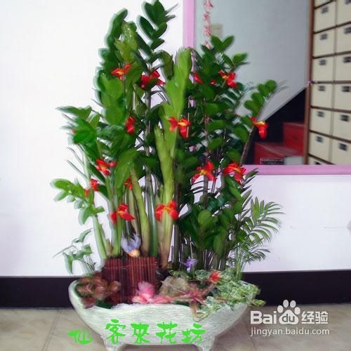 搬新家较小房间怎样设计