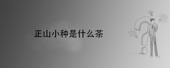 正山小种是什么茶