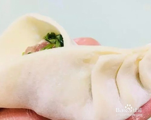 西洋猪肉菜饺子