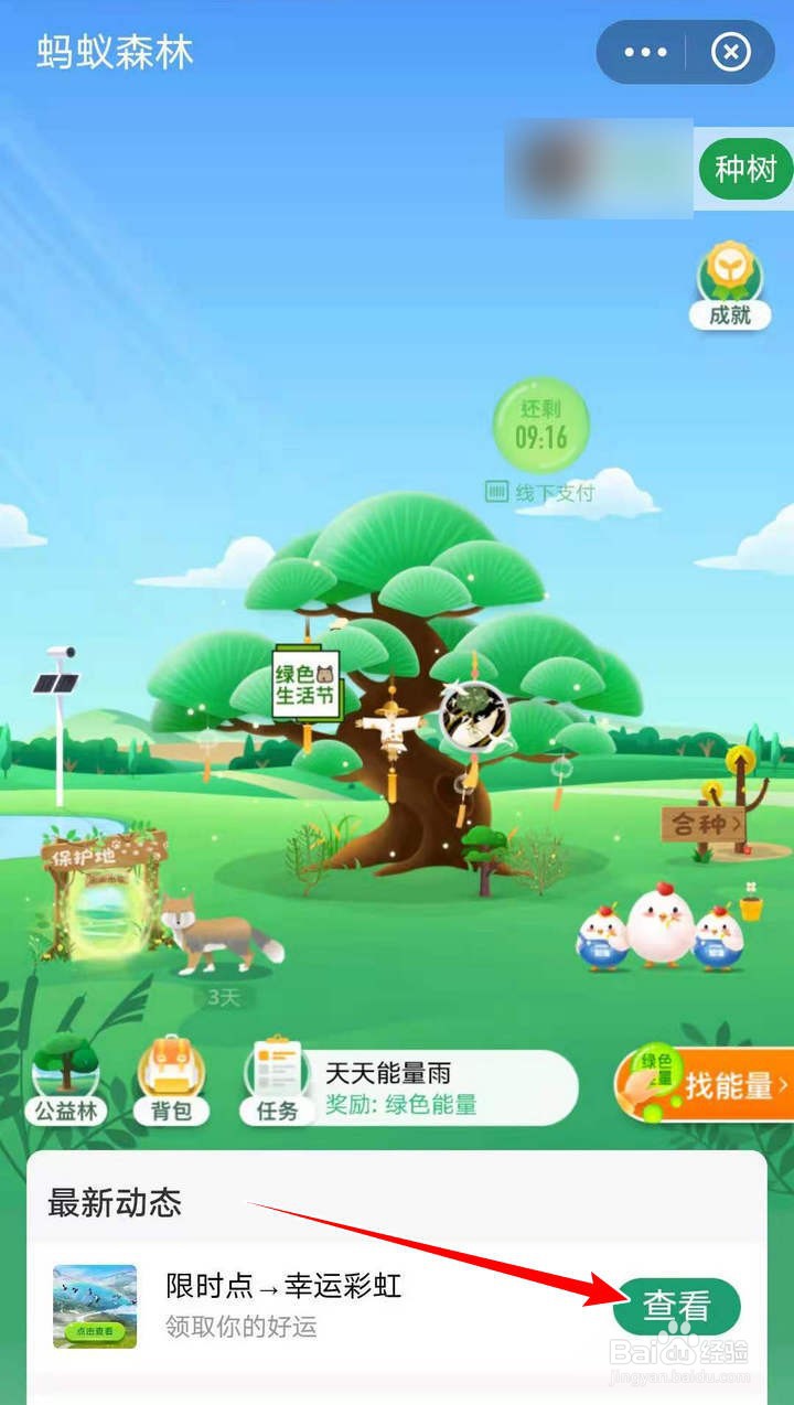 支付宝蚂蚁森林的端午彩虹壁纸如何获得