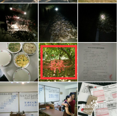 交友app头像的设置方法，怎么设置app头像