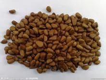 亚健康的治疗方法