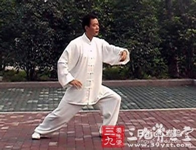 杨式太极拳拳谱 行云流水优雅放松