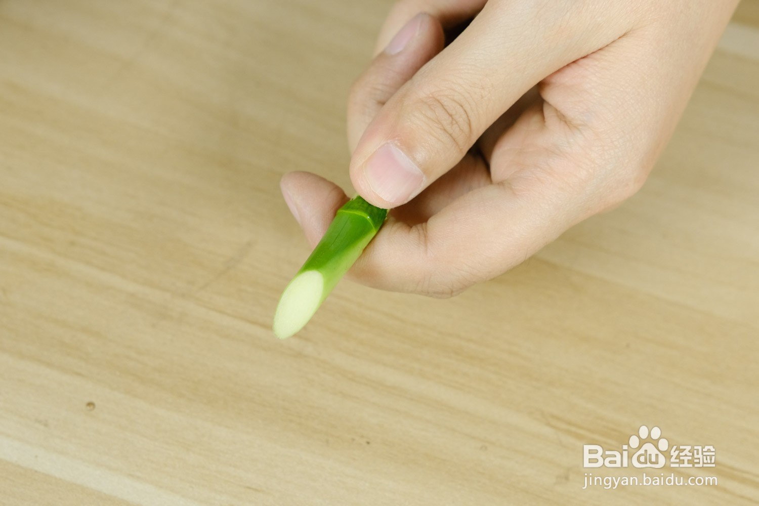 室内如何养好富贵竹