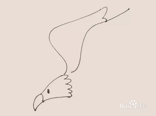 伴儿成长简笔画系列-怎样画老鹰简笔画