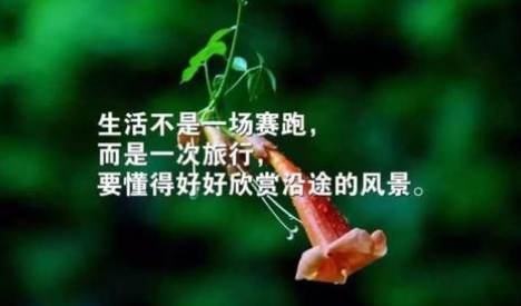 要想生活过得去正确的下一句是啥