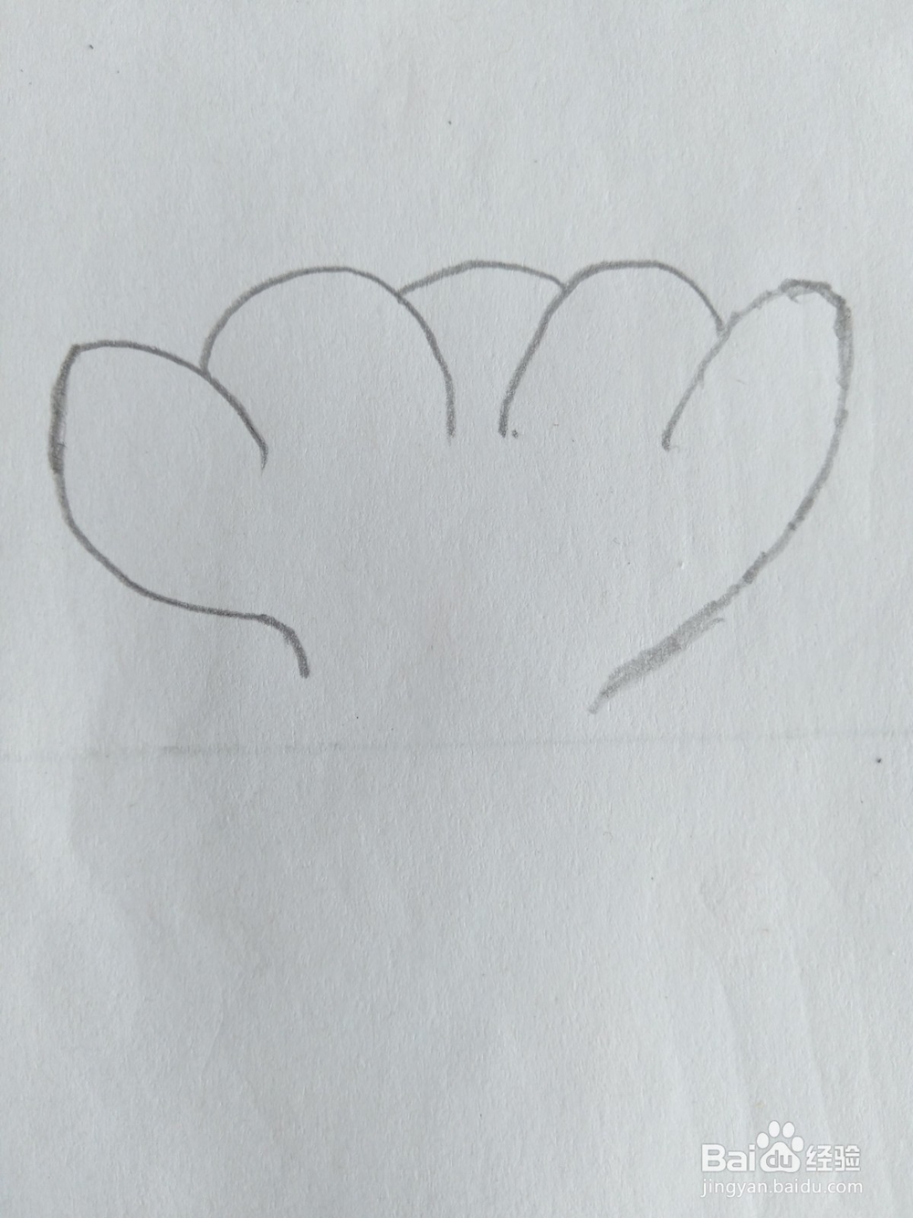 儿童简笔画白菜画法六