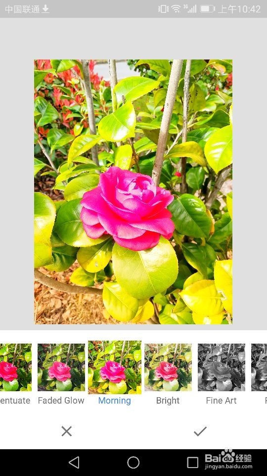 Snapseed软件如何进行照片样式的选择