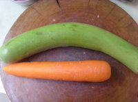 红就是红绿就是绿——蒲子炒胡萝卜