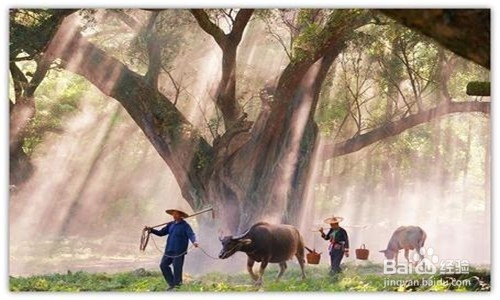 如何克服周一恐惧症?