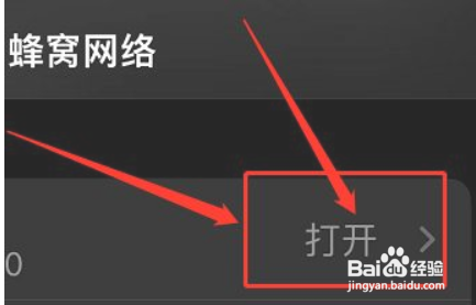 苹果手机怎么关闭5g网络