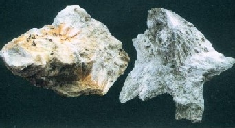 中医炮制：[119]阴起石的炮制方法