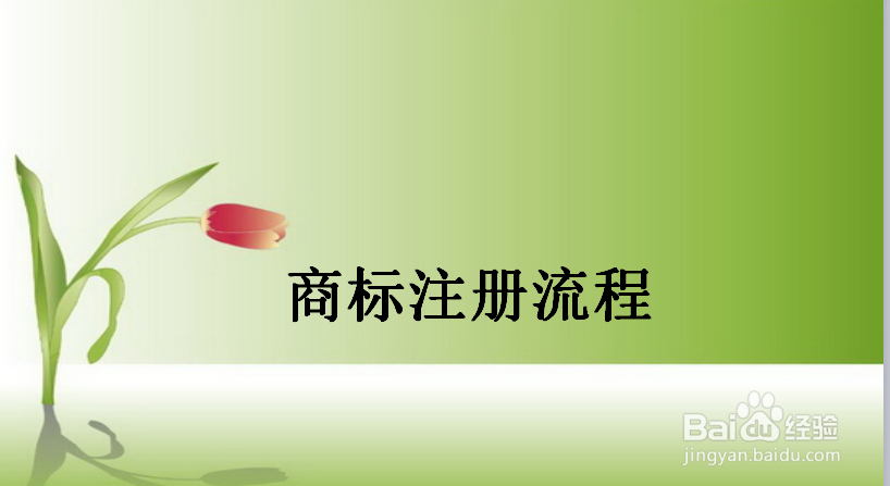 济南商标注册流程有哪些