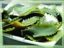 五种食物可以疏通血管