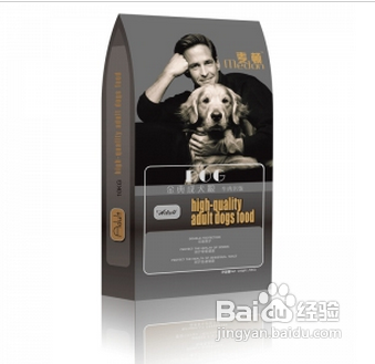 松狮怎么养--如何养松狮