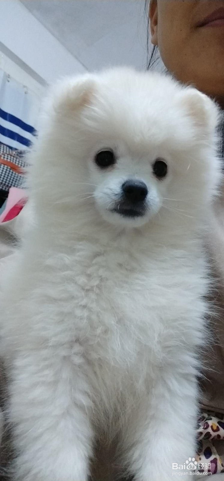 和女朋友100天纪念日送什么礼物好