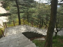 去泰山旅游经验以及过程和注意事项