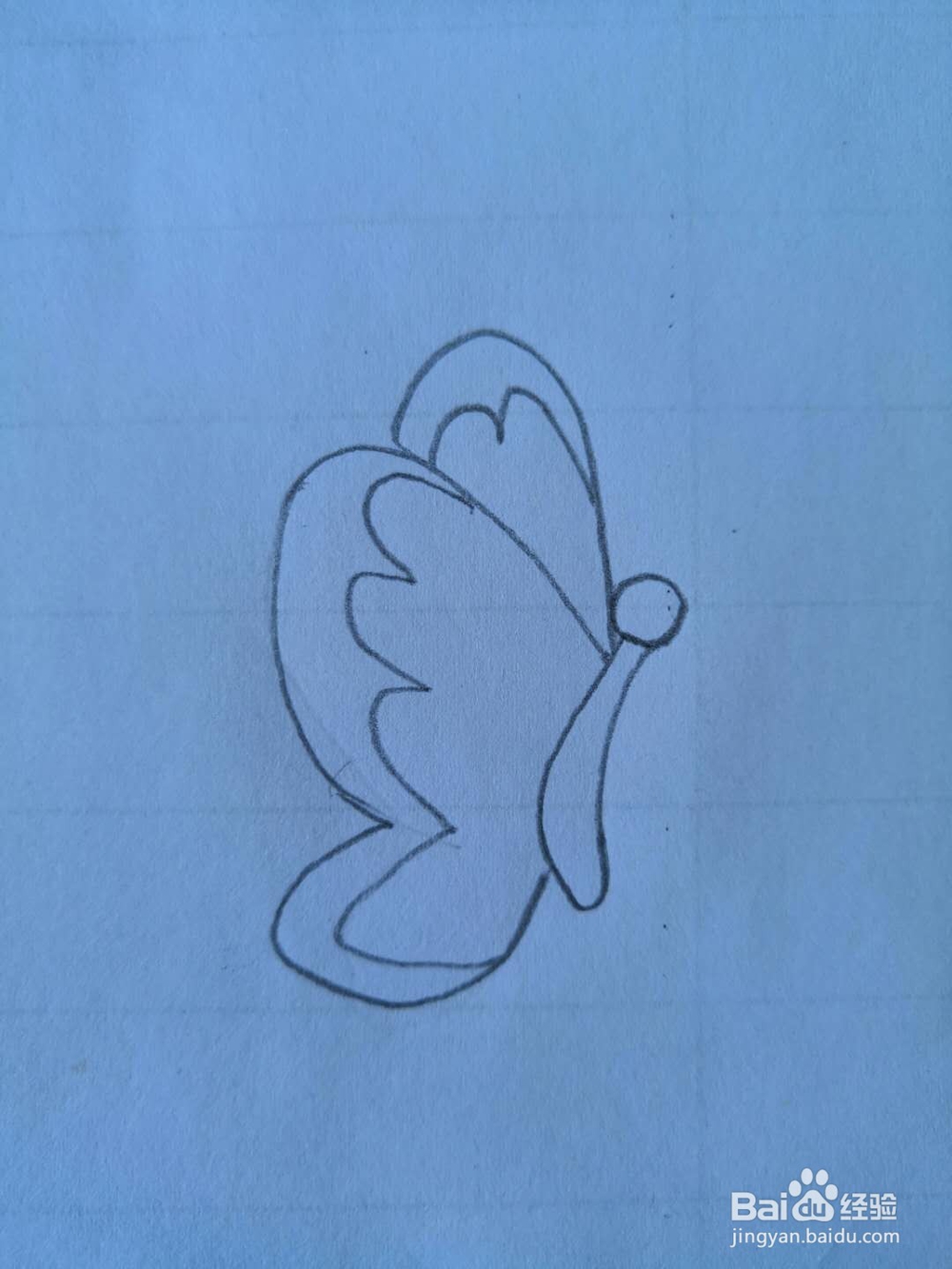 如何画蝴蝶简笔画