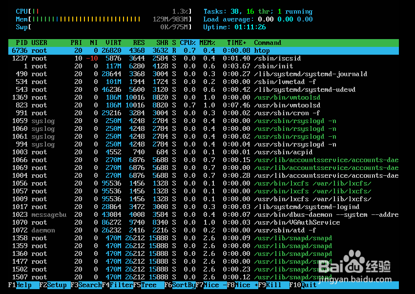 linux如何查看内存命令
