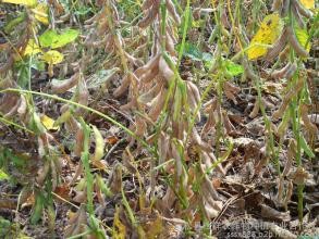 生活小细节中的大智慧