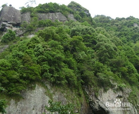 如何快速减肥——小攻略(小经验)