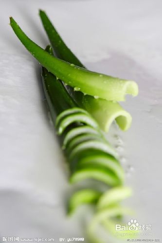 怀孕忌吃的食物