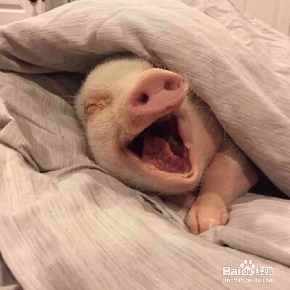 怎样知道男朋友是不是喜欢你