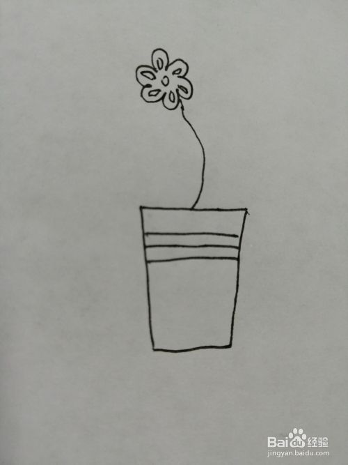 可爱的盆栽小花怎么画