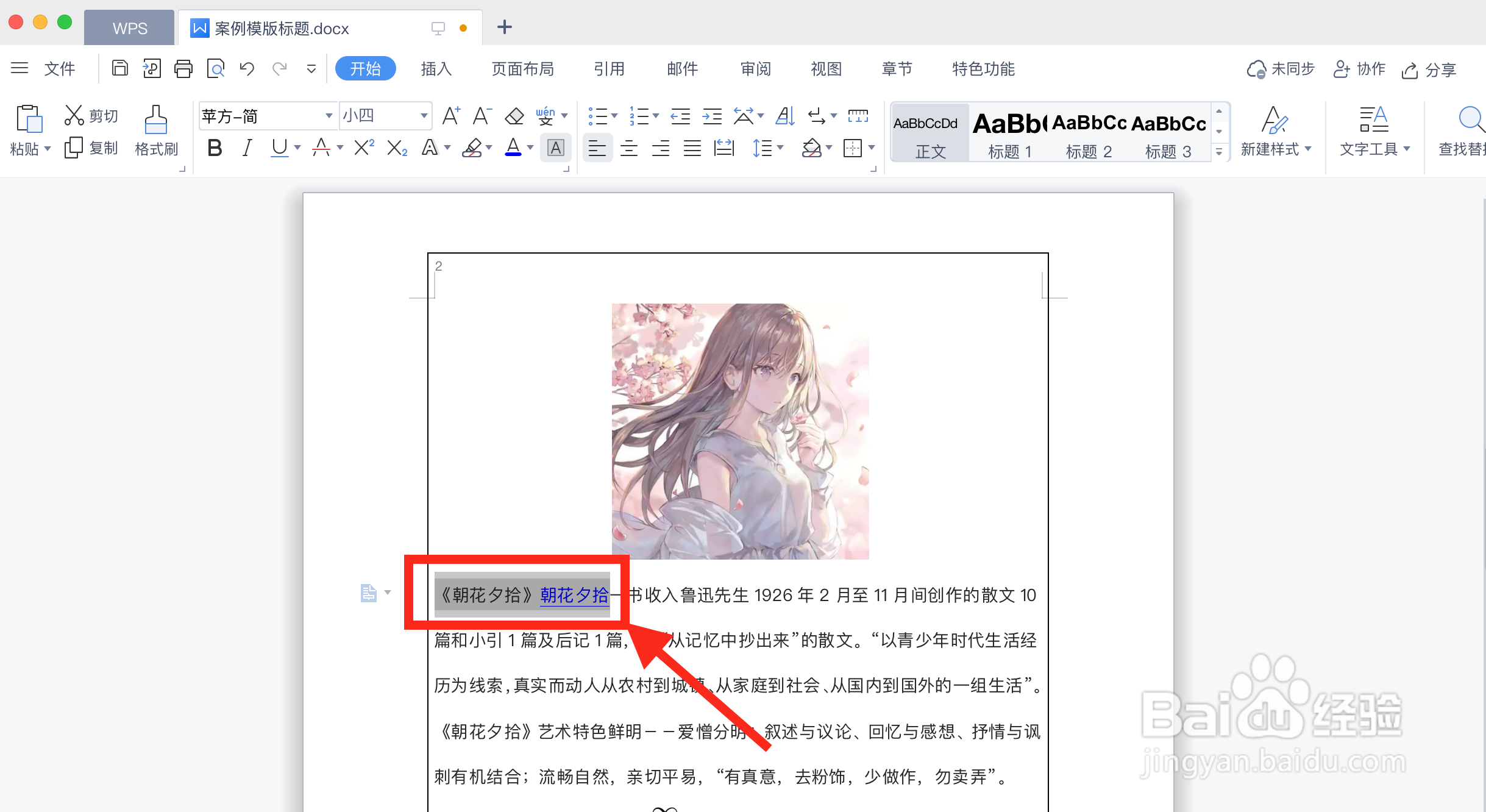 在WPS文本文档中如何清除所选内容的格式