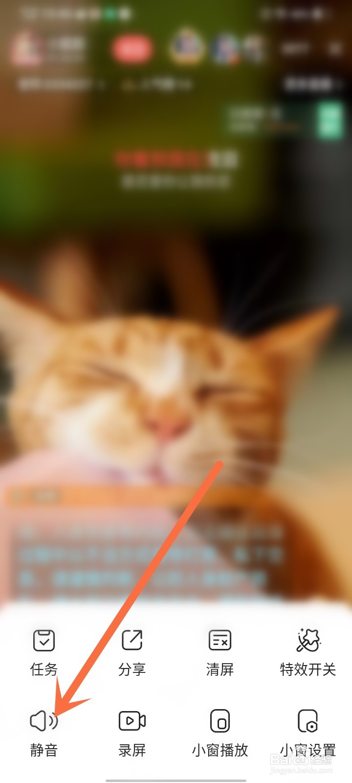 vv怎么设置直播静音播放