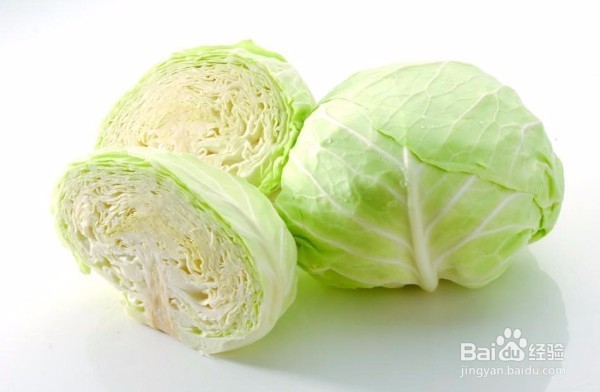 春季养生七种食物助你消食健胃