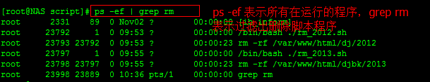 Linux nohup后台运行程序