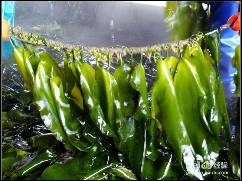 食物的真相大白