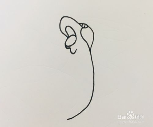 神奇宝贝水君怎么画