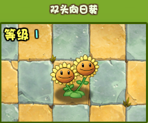 植物大战僵尸战略版单攻强力整容