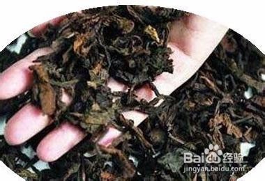 人们对茶有哪些错误认识？