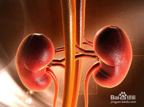 吃太多蛋白质会导致这些问题