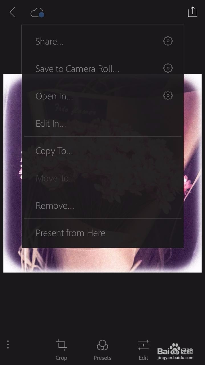手机lightroom使用教程