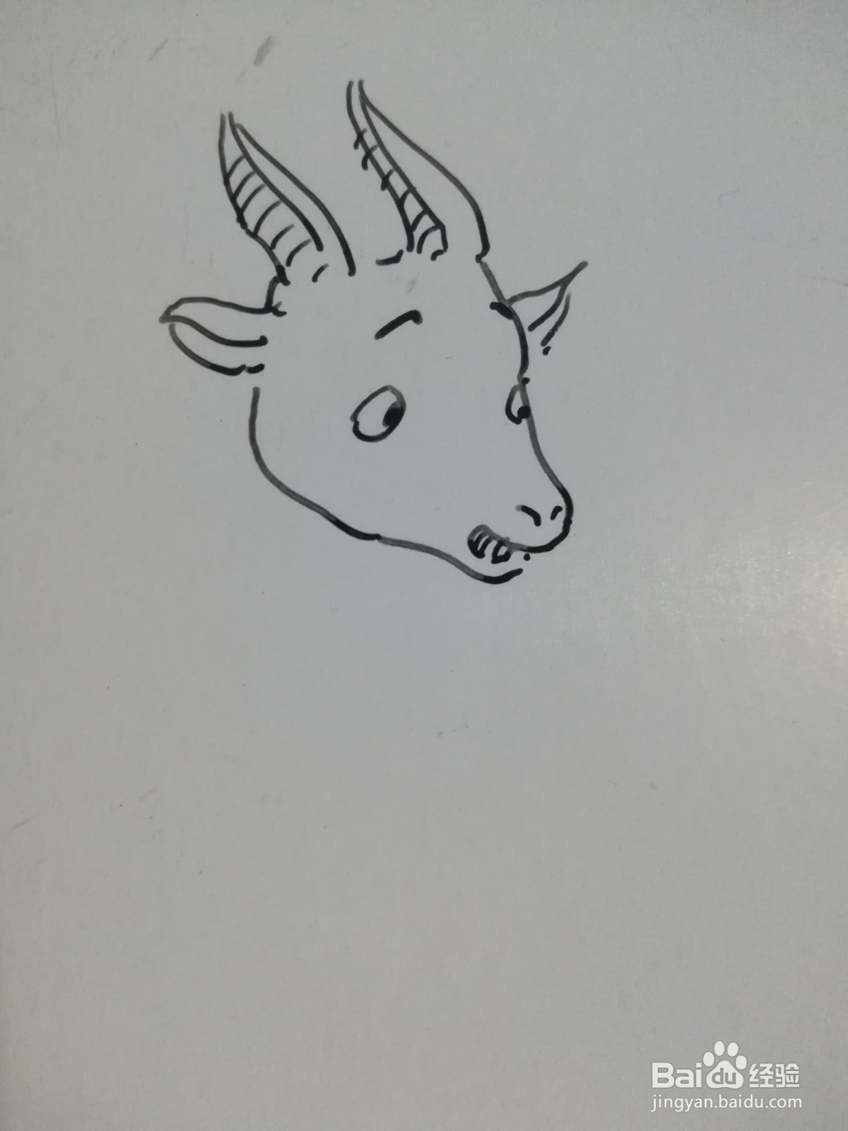 怎么画山羊足球运动员