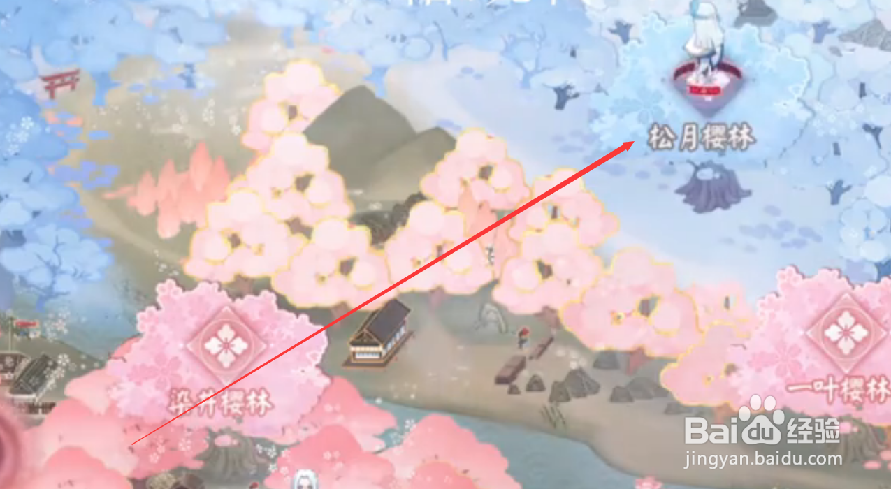 阴阳师松叶樱林攻略