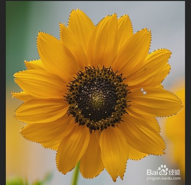 photoshop入门教程（23）