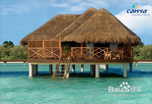 马尔代夫椰子岛