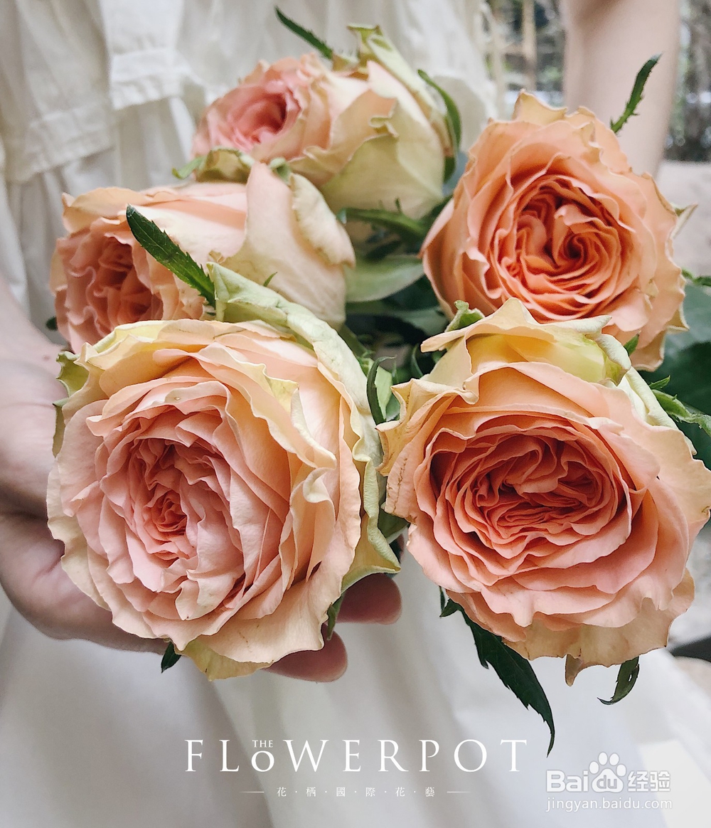 花栖花艺教大家艺术插花的基本技巧