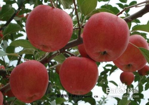 烟台自助游攻略