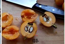 清热润肺【冰糖枇杷水】的做法